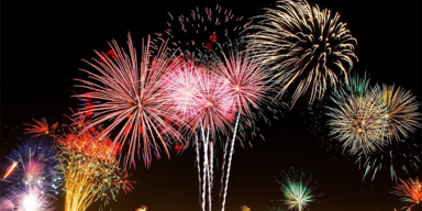 Unsere Tiere - Tierschutz-CH - Feuerwerk, Corona-Zeit - Sendung 08112020