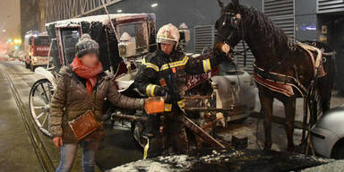 Fiaker gingen durch: Crash mit Pkw