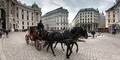 Fiaker - Unsere Tiere - Tierschutz-CH - Wien - Story-Header