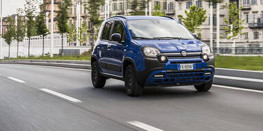 Fiat greift mit dem Panda Waze an