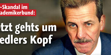 Fiedler drohen im NS-Skandal Konsequenzen