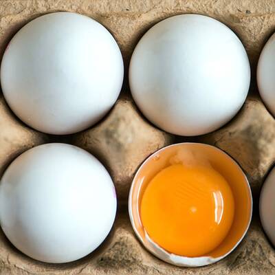 Das war das Jahr 2017