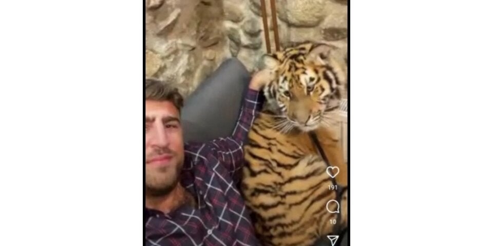 Remmo-Clan feiert Hochzeit mit Tigerbaby