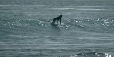 Lohan surft für Kunstfilm 