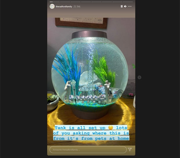 22 Kinder nicht genug: XXL-Familie wird noch größer