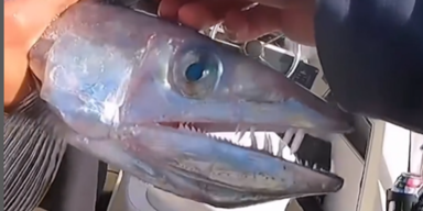 die.hard.fishing/Instagram