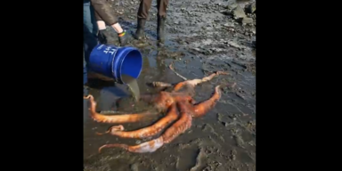 Padilla Bay National Estuarine Research Reserve