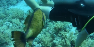 marhostedtrips/Instagram