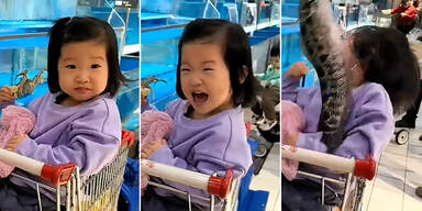 Schock-Moment: M&auml;dchen staunt &uuml;ber Fische, pl&ouml;tzlich passiert DAS