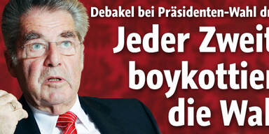 Jeder Zweite boykottiert die Hofburg-Wahl