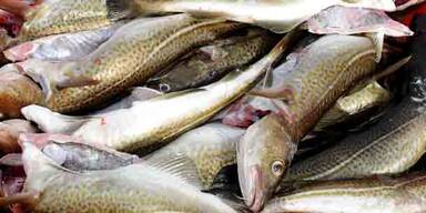 WTO-Abkommen gegen &Uuml;berfischung in Kraft getreten