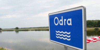 Fischsterben oder 1.PNG