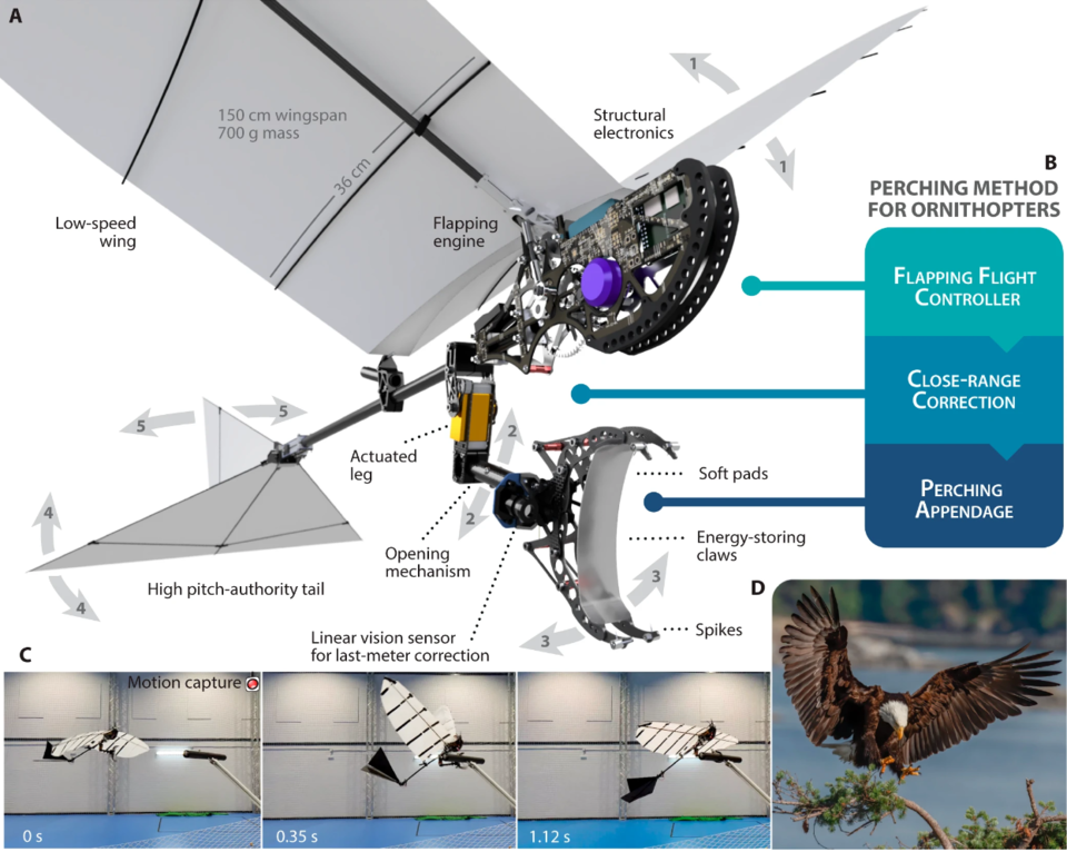 Nature Communications