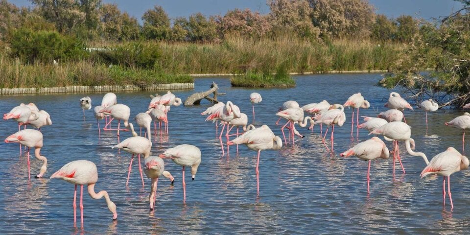 Naturschauspiele der Extraklasse