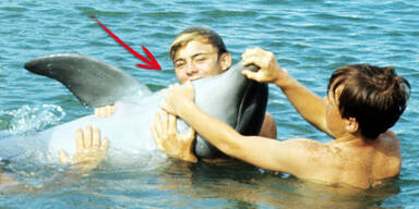 Wie sieht Sandy aus "Flipper" wohl heute aus?