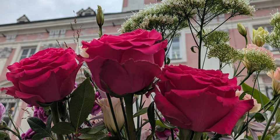 Floristen-Flashmob“ vor dem Rathaus St. Pölten 