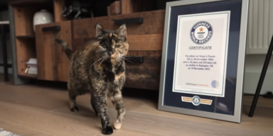 Guinness World Records