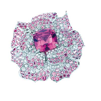 Cocktailringe für die Ballnacht