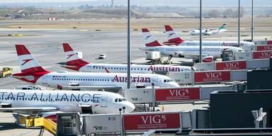 24,6 Millionen: Fluggäste in Wien-Schwechat nehmen zu