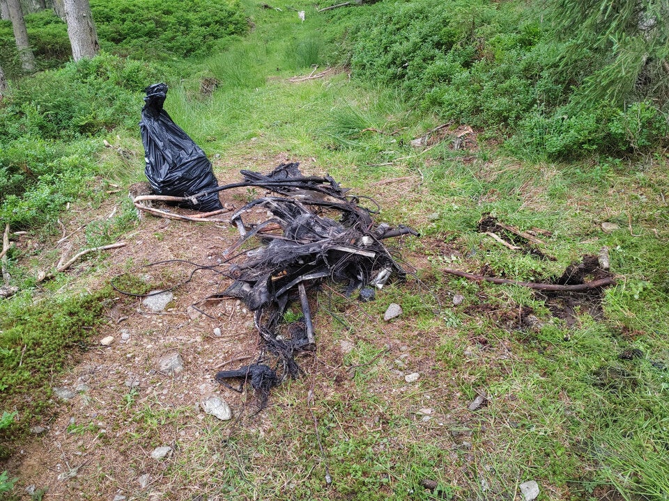 Absturz Wald im Pinzgau