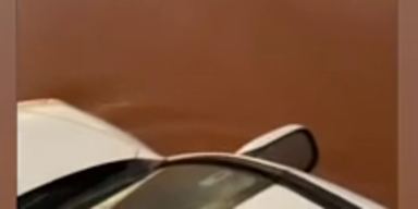 Flut.png