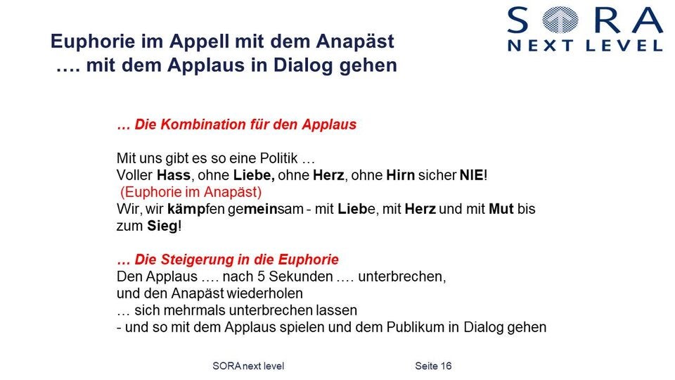 Das ist das komplette Aufreger-Strategiepapier der SPÖ
