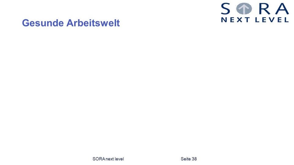 Das ist das komplette Aufreger-Strategiepapier der SPÖ