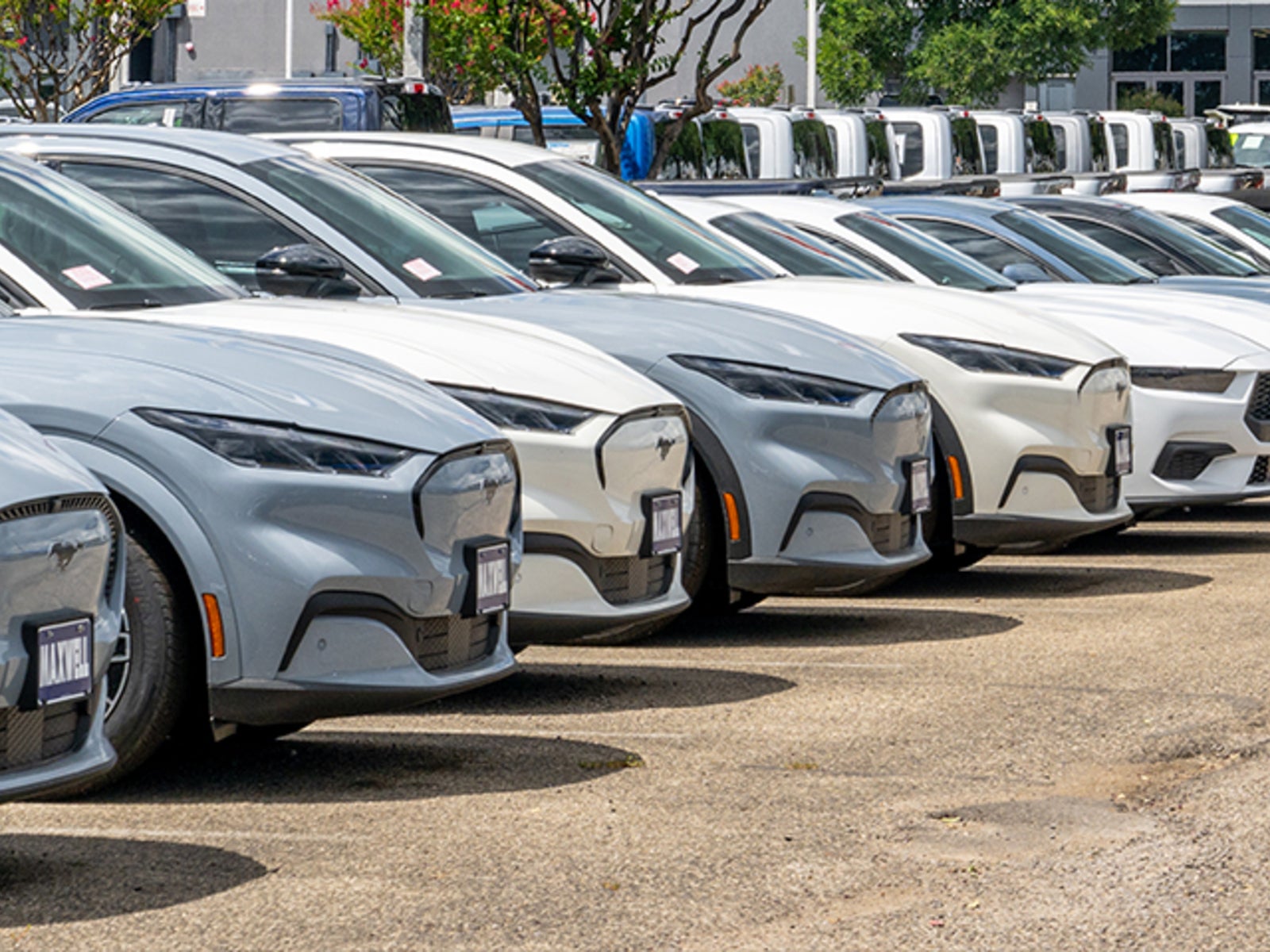 Mckenzie valdez twerk 1 0 Share uFreakymckinzievaldez.