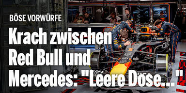 Formel 1 Red Bull
