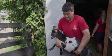 Gut Aiderbichl Ziegen Schafe