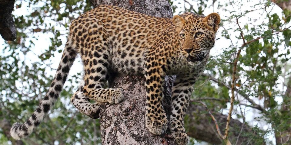 Traumziel für jede Jahreszeit