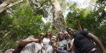 Tsitsikamma Storms River
