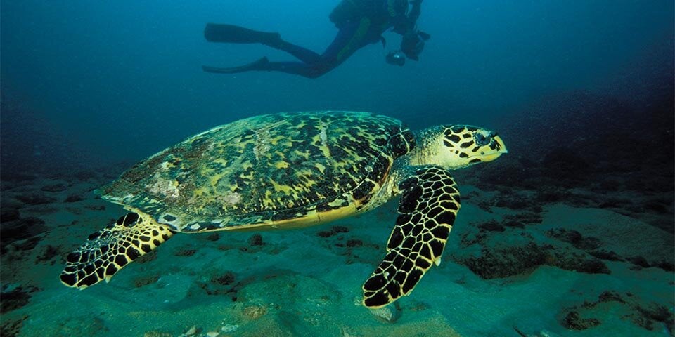 Drei Geheimtipps für deinen Südafrika-Urlaub