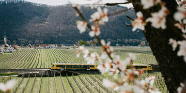 Die gesamte Wachau mit 1 Ticket erleben