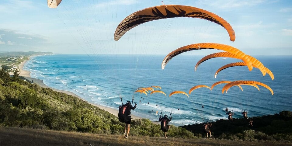 Ungezähmte Lebensfreude: Die Top 7 Nationalparks in Südafrika