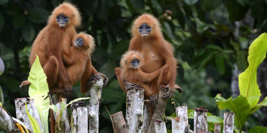 Eine Insel voller Naturwunder