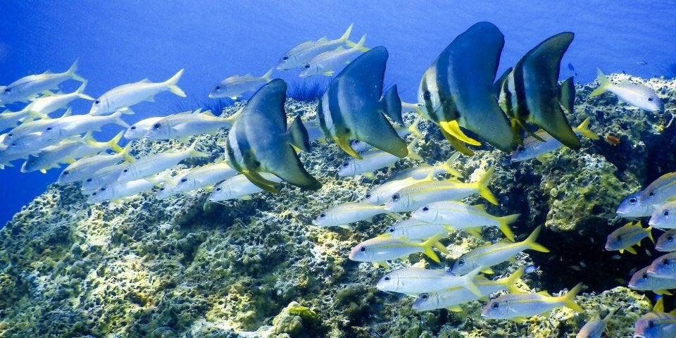 Die Top-Tipps für Ihren Thailand-Urlaub