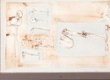 Millionen-Coup in Wien: Verdächtiger auf freiem Fuß