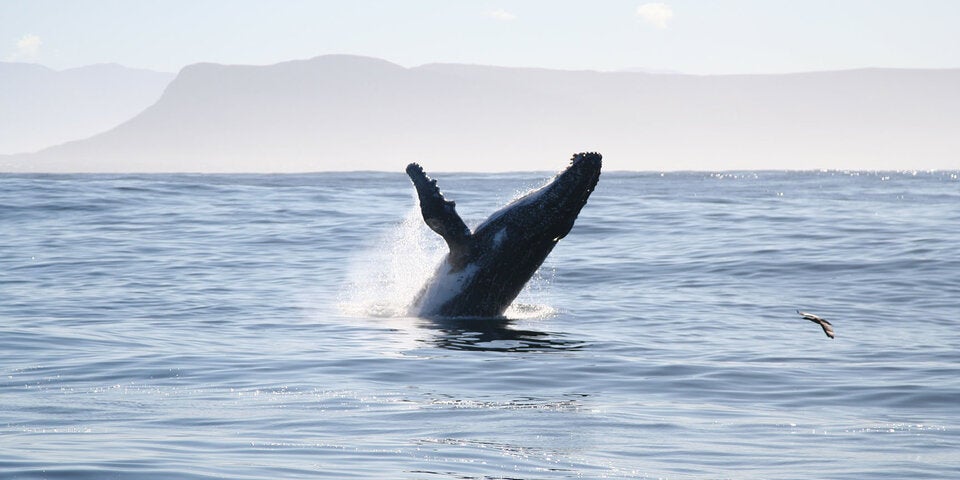 Traumziel für jede Jahreszeit