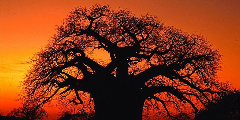 Der Natur ganz nahe in Südafrika