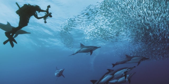 Surfermetropole Durban