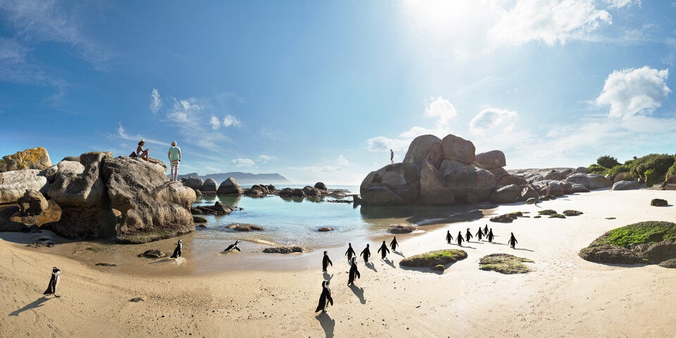 Safari mal anders: Am Meer, in der Luft oder am Bike