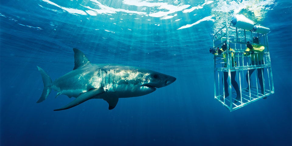 10 Gründe für eine Reise nach Südafrika