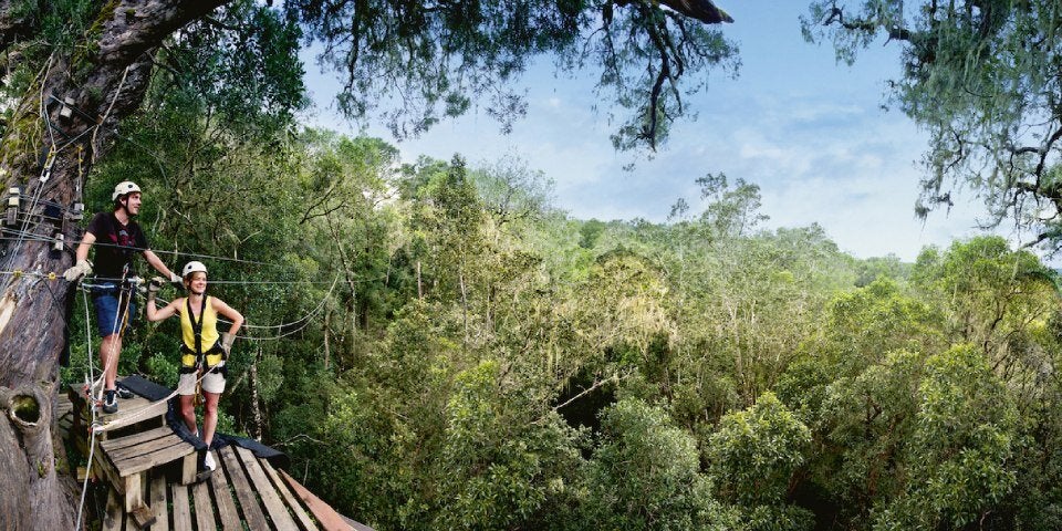 Wildes Abenteuerland Südafrika