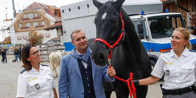 Promi-Tierheim will Kickls Polizeipferde