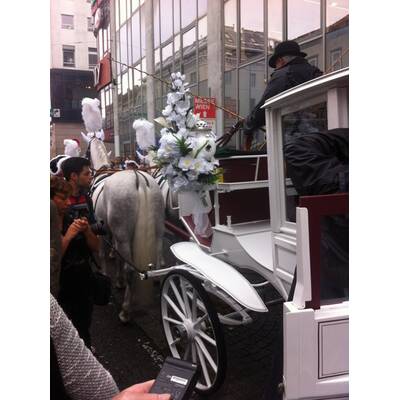 Richard Lugner sagt 'Ja' zu seiner Spatzi