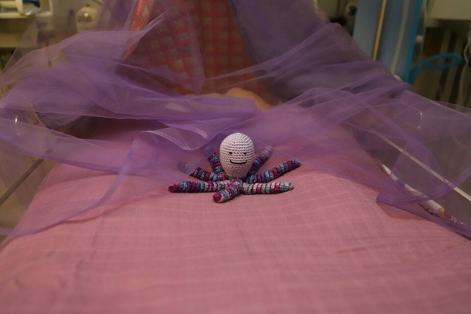 Farbe lila steht für Wunder jedes neuen Lebens