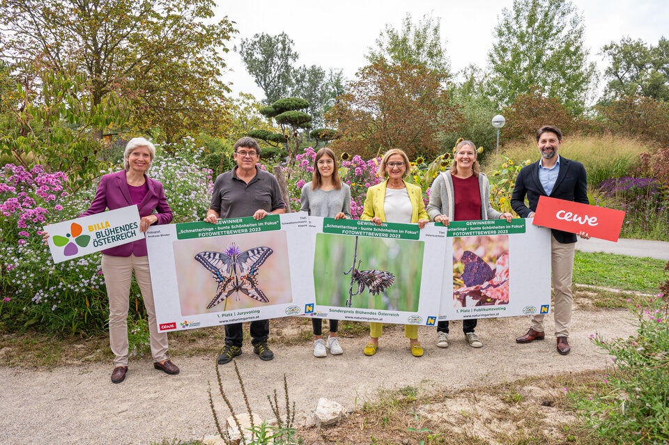 ''Natur im Garten'': Das sind die schönsten Schmetterlings-Fotos