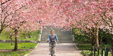 "Sommer" beginnt im April