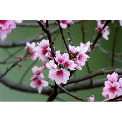 Müde sein und frieren geht gar nicht